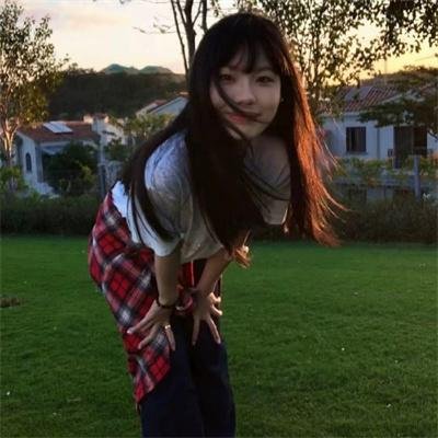 玉米上的麻雀
